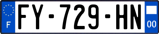 FY-729-HN