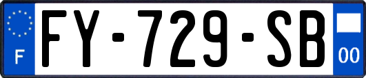 FY-729-SB