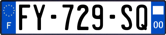 FY-729-SQ