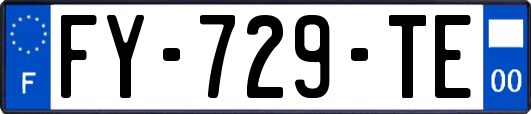 FY-729-TE