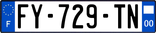FY-729-TN