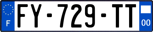 FY-729-TT
