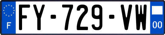 FY-729-VW