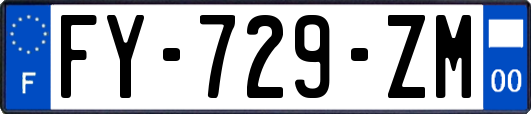 FY-729-ZM