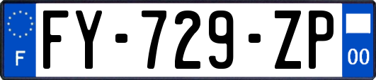 FY-729-ZP