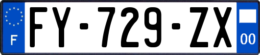 FY-729-ZX