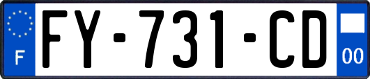 FY-731-CD