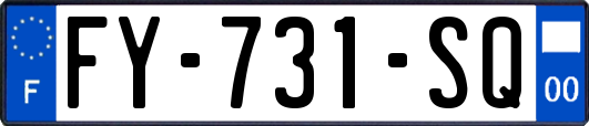 FY-731-SQ