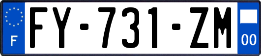 FY-731-ZM