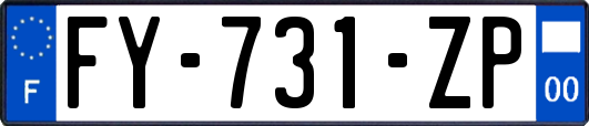 FY-731-ZP