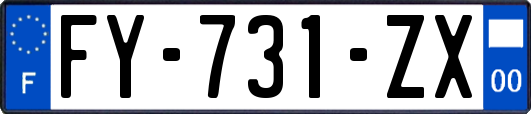 FY-731-ZX