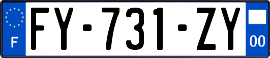 FY-731-ZY
