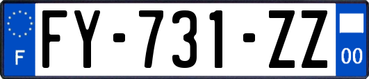 FY-731-ZZ