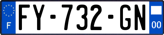 FY-732-GN