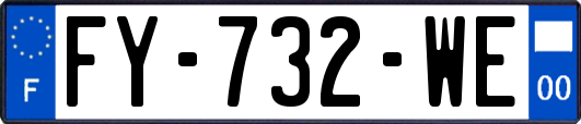 FY-732-WE