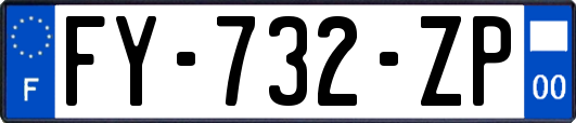 FY-732-ZP