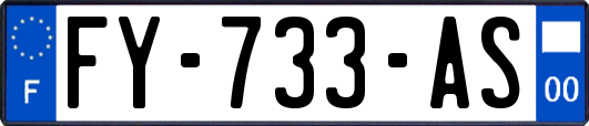 FY-733-AS