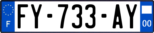 FY-733-AY