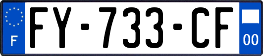 FY-733-CF