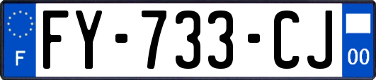 FY-733-CJ