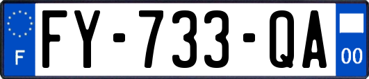 FY-733-QA