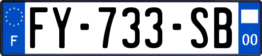 FY-733-SB
