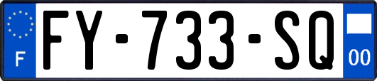 FY-733-SQ