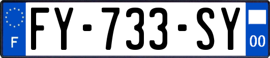 FY-733-SY