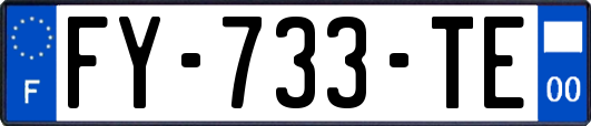 FY-733-TE