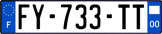 FY-733-TT