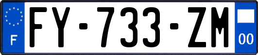 FY-733-ZM