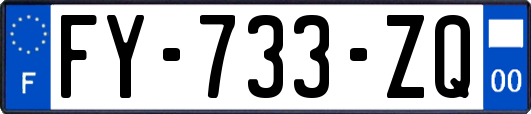 FY-733-ZQ