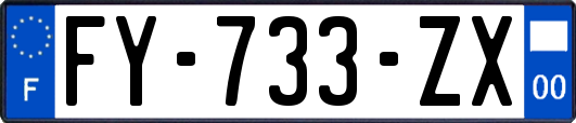 FY-733-ZX