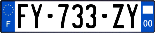 FY-733-ZY