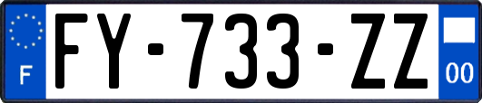 FY-733-ZZ