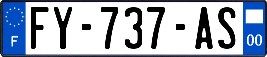 FY-737-AS