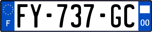 FY-737-GC