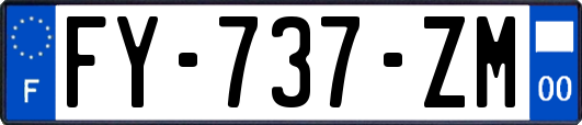 FY-737-ZM