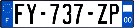 FY-737-ZP
