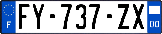 FY-737-ZX