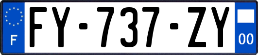 FY-737-ZY