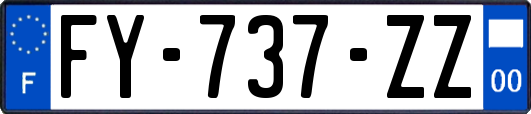 FY-737-ZZ