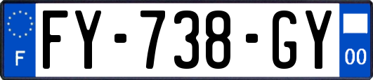 FY-738-GY