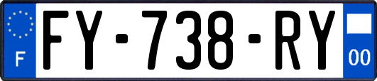 FY-738-RY