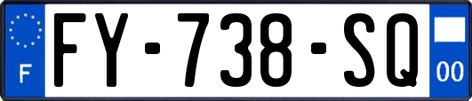 FY-738-SQ