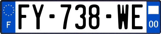 FY-738-WE