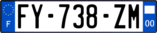 FY-738-ZM