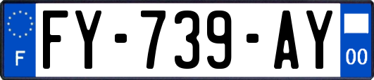 FY-739-AY
