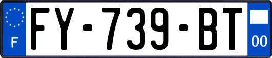 FY-739-BT