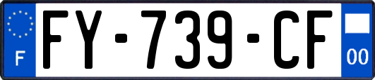 FY-739-CF